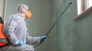 Simi Valley, CA Mold Removal & Remediation Company